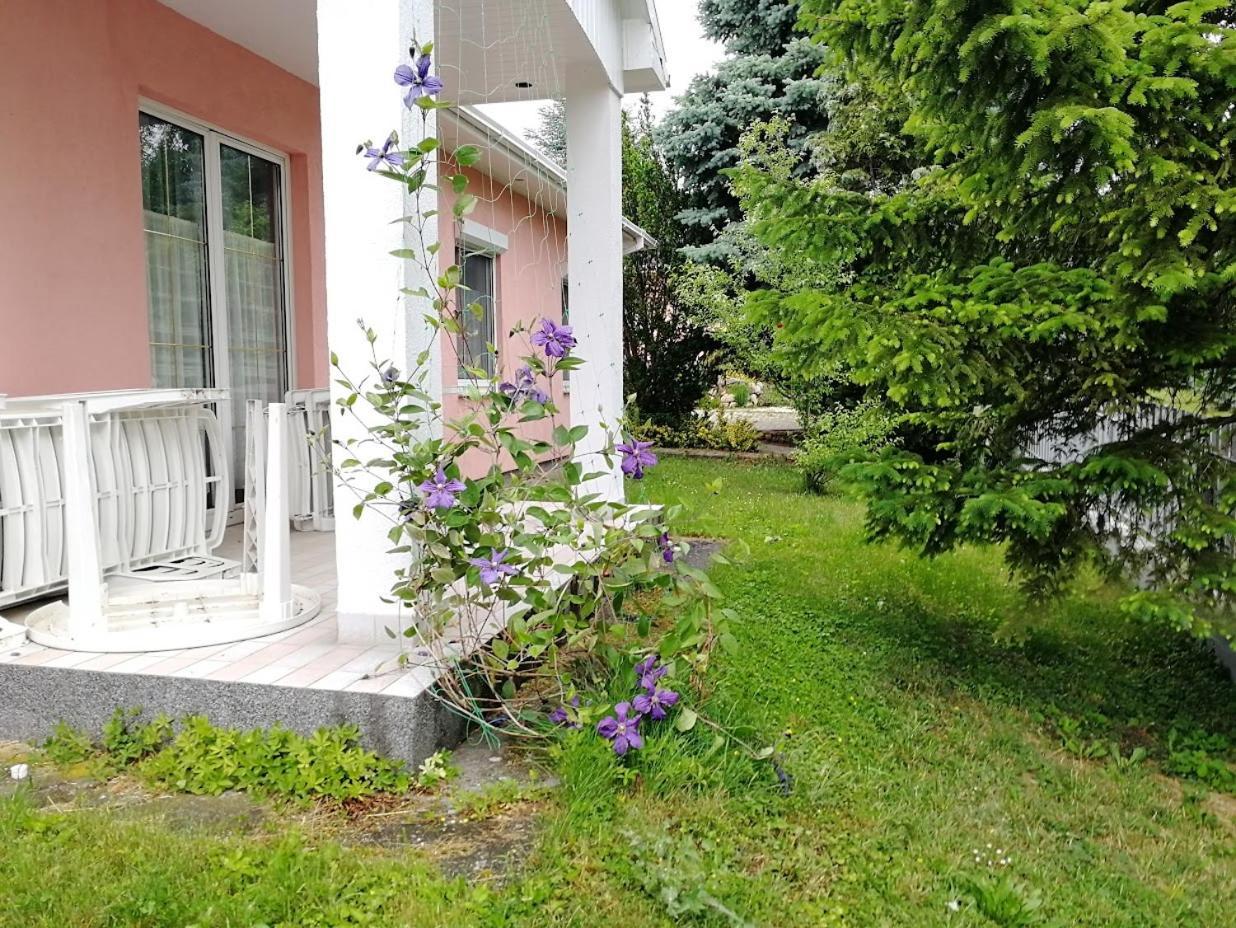 Fészek Apartmanház Vonyarcvashegy Exterior foto