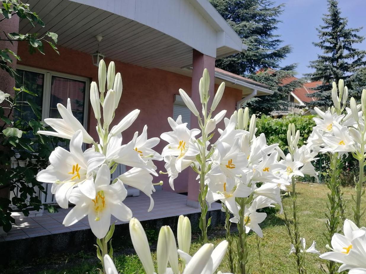 Fészek Apartmanház Vonyarcvashegy Exterior foto